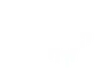 Space Ape
